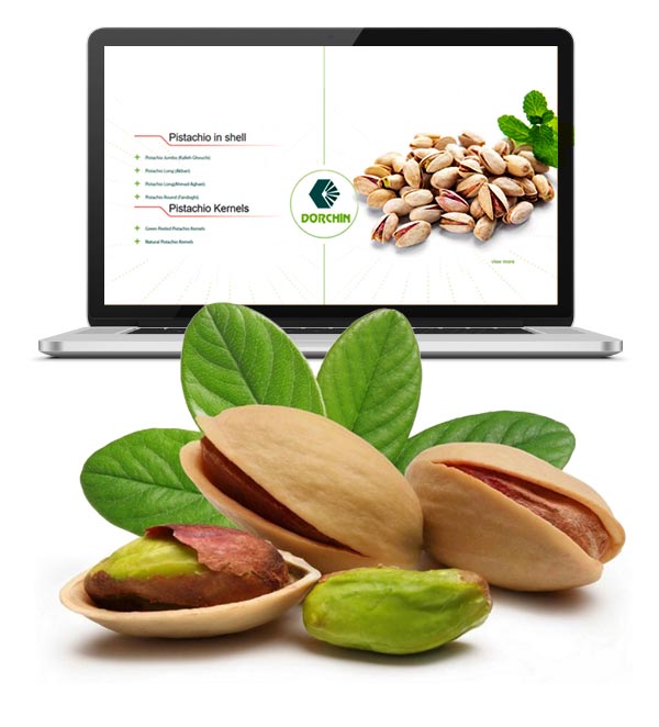 https://redpalet.net/storage/2023/06/Iranian-pistachio-export-site-design.jpg