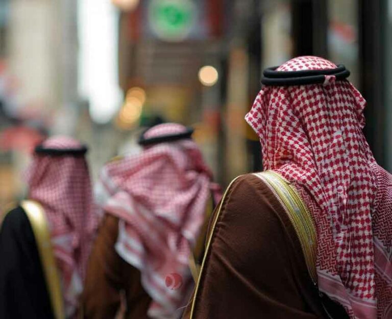 استارتاپ آنتروپیک حمایت مالی عربستان سعودی را رد کرد
