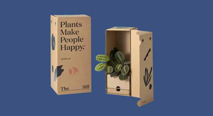 بسته بندی کارتنی برای حمل گل و گیاه