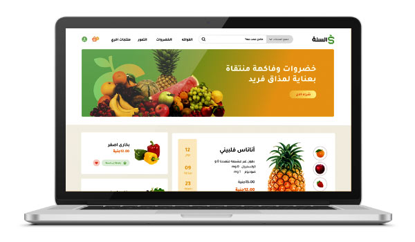 طراحی سایت برای صادرات میوه