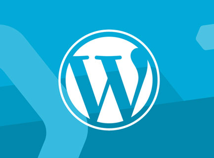 WordPress training 1