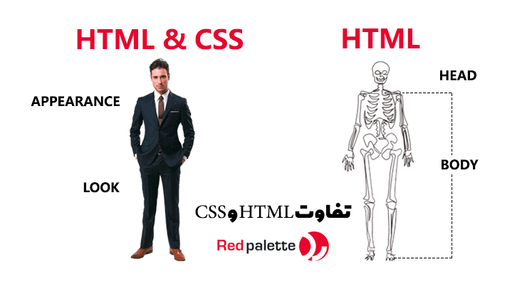 تفاوت زبان HTML با CSS